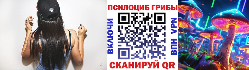 мега маркетплейс  Каменка  даркнет Telegram  Галлюциногенные грибы Magic Shrooms 