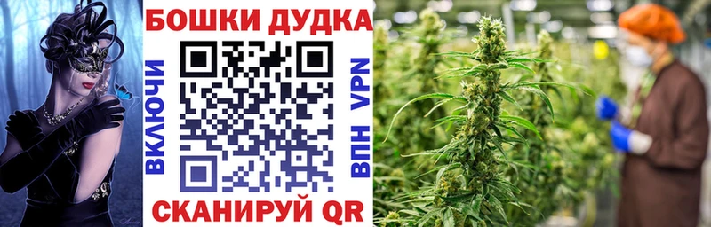 Шишки марихуана Bruce Banner  Каменка 